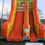 Safari Slide